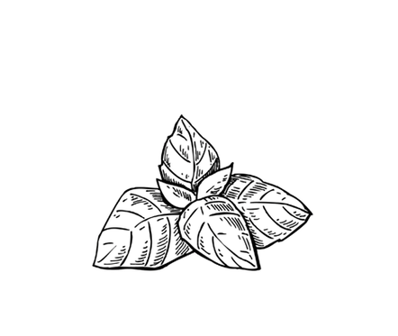 RAD (Facebook Post) (10).png