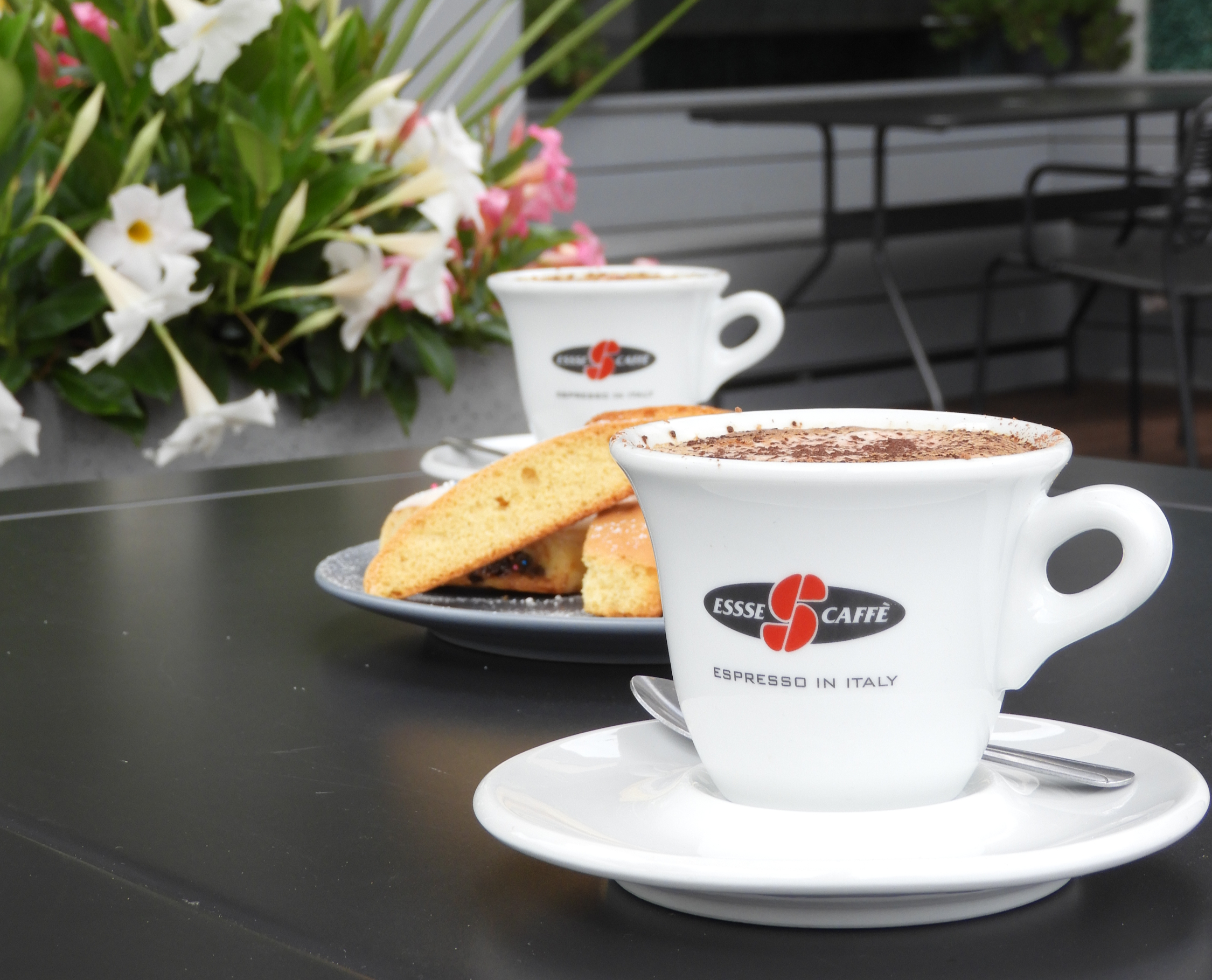 Arranged Food and Objects