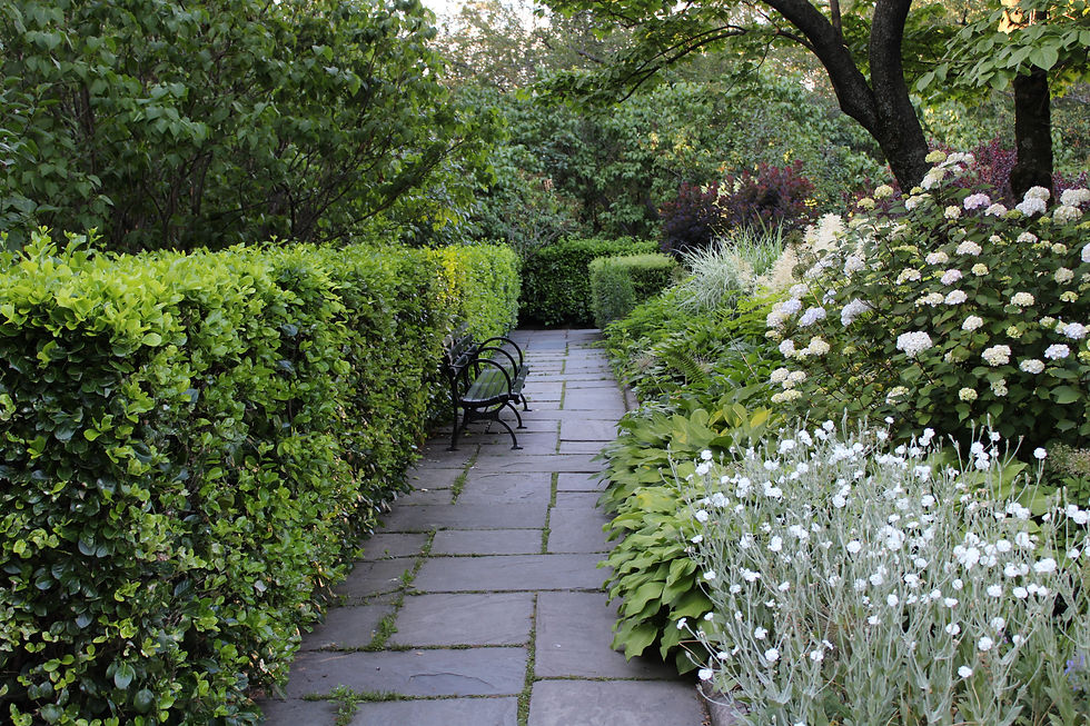 Serenity Garden