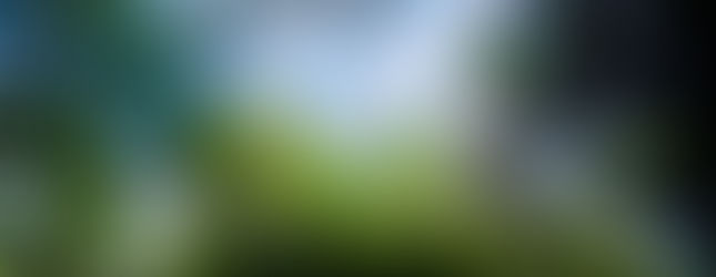 a photograph of blue skies captured through treelines and canopies on the hike to Dog Slaughter Falls in Corbin, Ky