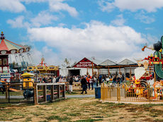 The fall pumpkin patch and fair experience at Daynabrook Farms
