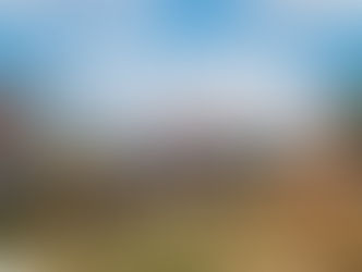 The fall pumpkin patch and fair experience at Daynabrook Farms