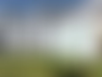 Nutrition and Wellness: The Role of Balanced Meals in Senior Care at The Dales