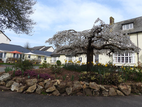 Meet the Team: Dedicated Professionals Behind Court House Care Home's Success