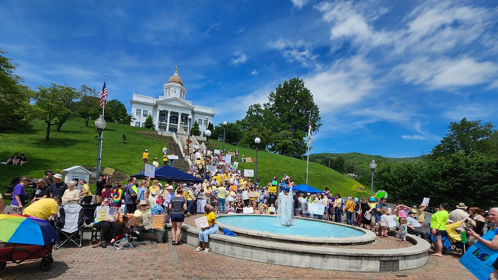 Large crowd of people dressed in yellow shirts holding signs supporting the Fontana Regional Library around the fountain on Main Street in Sylva with the old courthouse in the background and a bright blue sky