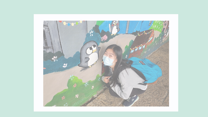 youtube背景wix.png