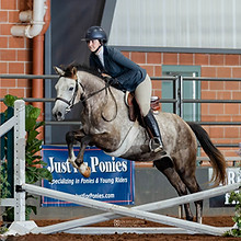 WEB_2025 WPCSA American National Show_CMS_4675.jpeg