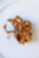 DSCF4453.jpg