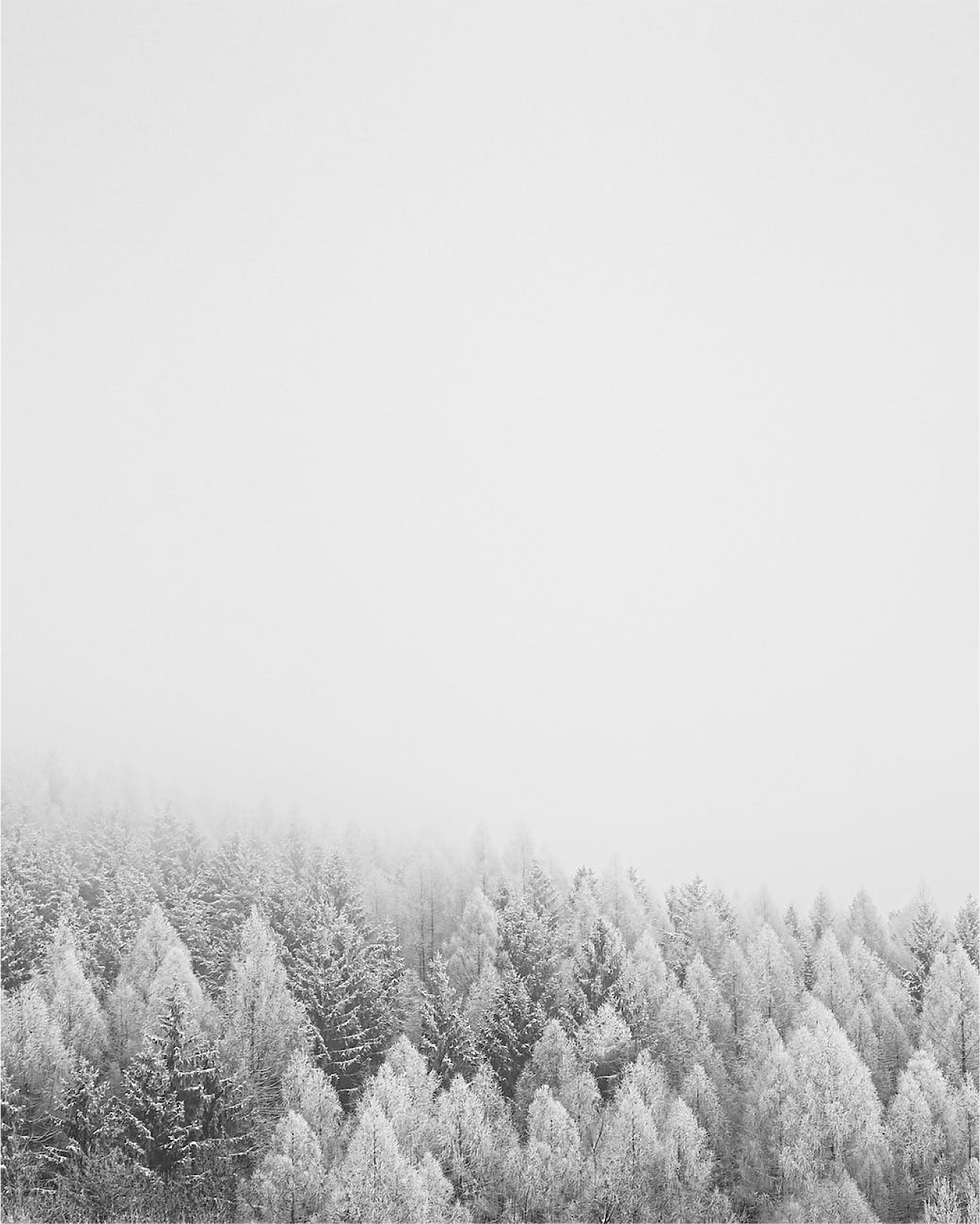 Pexels Photo by Jan Kopřiva.png