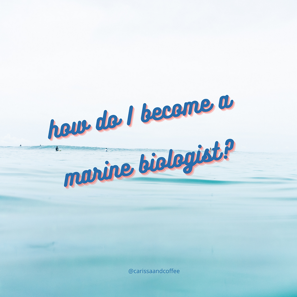 Tips + FAQs for Aspiring Marine Biologists