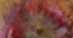 lily pad3 copy_edited_edited.jpg