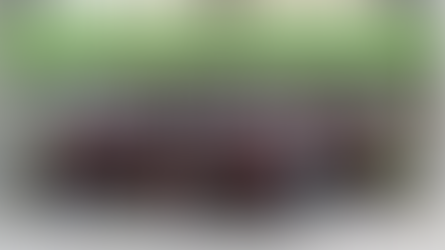 2018年度马来西亚师范学院槟城校区华文学会迎新会之乔治市之行