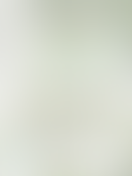 「第二回 精油学セミナー」を開催いたします。