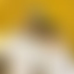 Championnat interdépartemental 1 D