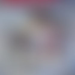 Stage Régional Jujitsu