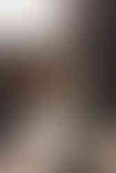 edinburgh, edinburgh elopement, scotland elopement, edinburgh wedding photographer, scotland elopement photographer, edinburgh city chambers, wedding at city chambers, the spencer, wedding at the spencer, autumn wedding, autumn wedding edinburgh, edinburgh old town, scotland wedding ideas, intimate wedding ideas scotland, intimate wedding ideas, simple weddings, storytelling weddings, romantic wedding photography, fine art wedding photography, true colours photography,