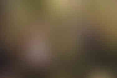 Handfasting ceremony during a woodland wedding in Scotland photographed by a Scotland wedding photographer.