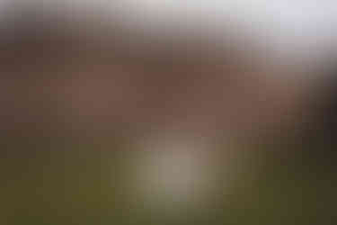 Elegant outdoor wedding portraits at Balbirnie House Hotel Scotland editorial photography style