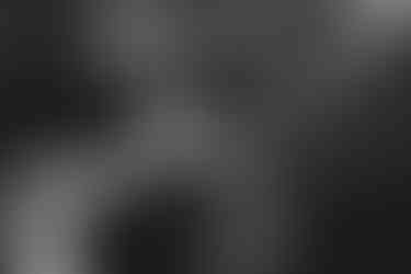 edinburgh wedding photographer, scotland wedding photographer, edinburgh elopement photographer, scotland elopement photography, edinburgh portrait photographer, edinburgh portrait photography, wedding photographers edinburgh, portrait photography scotland, romantic wedding photography edinburgh, edinburgh bridal photography, luxury wedding photographer edinburgh, elegant wedding photos edinburgh, classic wedding photography edinburgh, destination wedding photography edinburgh, fine art photography scotland, fine art wedding photography edinburgh, cinematic wedding photography scotland, cinematic wedding photographer edinburgh, edinburgh intimate wedding photography, unique wedding photos edinburgh, couples adventure photos edinburgh, romantic edinburgh photoshoot, edinburgh, elopement photography personalized photography edinburgh, edinburgh adventure photographer, scotland adventure wedding photography, edinburgh couple photoshoot experience, moody photography edinburgh, cinematic aesthetic photography edinburgh, fife style photography scotland, documentary wedding photographer edinburgh, edinburgh storybook photo sessions, natural relaxed photography in edinburgh, relaxed wedding photographer in edinburgh  artistic wedding photography edinburgh, elegant wedding photography edinburgh, fine art wedding photography edinburgh, stylized wedding photography edinburgh, personalized photography for weddings in edinburgh, elopement photography in edinburgh, best photographers in edinburgh, best scotland photographer, best wedding photographers in edinburgh, affordable wedding photographers in edinburgh, micro weddings in edinburgh  bridal inspiration edinburgh, wedding inspiration scotland, elopement inspiration scotland,  LGTB wedding, LGTB friendly photographer in scotland, LGTB friendly photographer in edinburgh, lesbian wedding in scotland, LGTB wedding in scotland, atholl palace hotel, atholl palace hotel wedding, the hermitage, the hermitage of dunkeld wedding, elopement in scottish forest, winter elopement in the forest, valentines elopement, tegan elder, thistle ceremonies, tie the knot scotland, personalized elopement photography, intimate wedding photography scotland, elopement in the hermitage, elopement in scotland