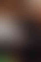 Documentary style groom preparation in Edinburgh castle setting, elegant and cinematic