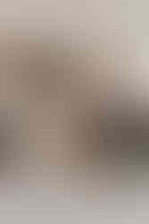 edinburgh wedding photographer, scotland wedding photographer, edinburgh wedding photography, edinburgh wedding photography, intimate wedding, bride inspiration, summer garden wedding, elopement in scotland, natural, meaningful wedding, edinburgh, scotland, photographer, photography, summer wedding