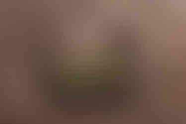 Romantic wedding elopement in Dean Village, Edinburgh, beautifully captured by a photographer with the scenic river and historic village as a backdrop.