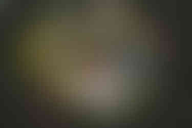 scotland wedding photographer, edinburgh wedding photographer, elopement in scotland, the hermitage of dunkeld, iterracial couple, boho wedding ideas, elopement inspiration, summer forest scotrland, elopement photography scotland