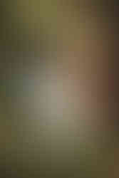 scotland wedding photographer, edinburgh wedding photographer, elopement in scotland, the hermitage of dunkeld, iterracial couple, boho wedding ideas, elopement inspiration, summer forest scotrland, elopement photography scotland