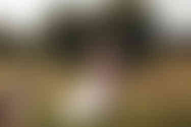 edinburgh, edinburgh wedding photographer, duns castle, scotland elopement photographer, elope in scotland, elopement in scotlands, duns castle, duns castle wedding, duns castle elopement, castle elopement, castles of scotland, best places to elope in scotland, elopements in scotland, wedding photos in scotland, elopement photography in scotland, gordon nicholson kildmakers, elopement ideas, bagpipper for weddings, romantic wedding photography scotland, fine art photography edinburgh