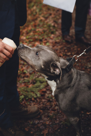 edinburgh wedding photographer, scotland wedding photographer, edinburgh elopement photographer, scotland elopement photography, edinburgh portrait photographer, edinburgh portrait photography, wedding photographers edinburgh, portrait photography scotland, romantic wedding photography edinburgh, edinburgh bridal photography, luxury wedding photographer edinburgh, elegant wedding photos edinburgh, classic wedding photography edinburgh, destination wedding photography edinburgh, fine art photography scotland, fine art wedding photography edinburgh, cinematic wedding photography scotland, cinematic wedding photographer edinburgh, edinburgh intimate wedding photography, unique wedding photos edinburgh, couples adventure photos edinburgh, romantic edinburgh photoshoot, edinburgh, elopement photography personalized photography edinburgh, edinburgh adventure photographer, scotland adventure wedding photography, edinburgh couple photoshoot experience, moody photography edinburgh, cinematic aesthetic photography edinburgh, fife style photography scotland, documentary wedding photographer edinburgh, edinburgh storybook photo sessions, natural relaxed photography in edinburgh, relaxed wedding photographer in edinburgh  artistic wedding photography edinburgh, elegant wedding photography edinburgh, fine art wedding photography edinburgh, stylized wedding photography edinburgh, personalized photography for weddings in edinburgh, elopement photography in edinburgh, best photographers in edinburgh, best scotland photographer, best wedding photographers in edinburgh, affordable wedding photographers in edinburgh, micro weddings in edinburgh  bridal inspiration edinburgh, wedding inspiration scotland, elopement inspiration scotland,  LGTB wedding, LGTB friendly photographer in scotland, LGTB friendly photographer in edinburgh, lesbian wedding in scotland, LGTB wedding in scotland, atholl palace hotel, atholl palace hotel wedding, the hermitage, the hermitage of dunkeld wedding, elopement in scottish forest, winter elopement in the forest, valentines elopement, tegan elder, thistle ceremonies, tie the knot scotland, personalized elopement photography, intimate wedding photography scotland, elopement in the hermitage, elopement in scotland