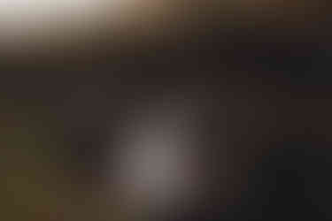 Newlyweds enjoying quiet romantic moment at Forbes of Kingennie