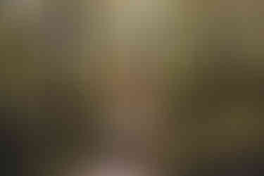 Intimate couple portraits at Comrie Croft photographed by a Scotland wedding photographer.