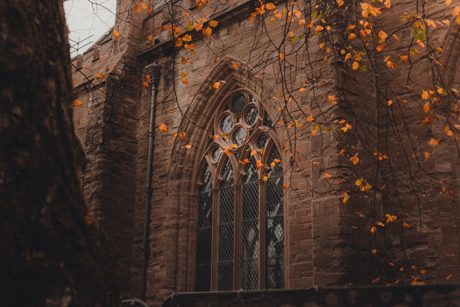 Destination couple photography in Dunkeld, Scotland, cinematic storytelling in a natural woodland setting.