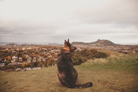 adventures LR-75.jpg