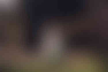 edinburgh wedding photographer, scotland wedding photographer, edinburgh wedding photography, edinburgh wedding photography, intimate wedding, bride inspiration, summer garden wedding, elopement in scotland, natural, meaningful wedding, edinburgh, scotland, photographer, photography, summer wedding