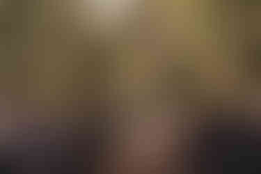 Scotland woodland wedding venue photography at Comrie Croft by a Scotland wedding photographer.