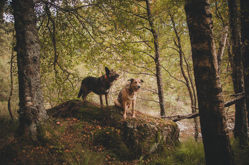 adventures LR-190.jpg