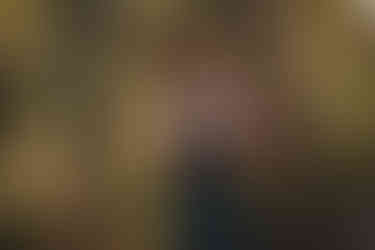 Woodland wedding location in Scotland at Comrie Croft photographed by a Scotland wedding photographer.