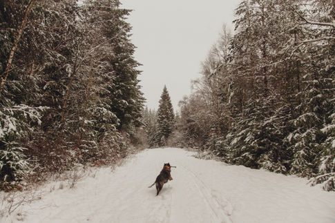 adventures LR-217.jpg