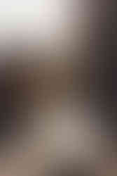 edinburgh, edinburgh elopement, scotland elopement, edinburgh wedding photographer, scotland elopement photographer, edinburgh city chambers, wedding at city chambers, the spencer, wedding at the spencer, autumn wedding, autumn wedding edinburgh, edinburgh old town, scotland wedding ideas, intimate wedding ideas scotland, intimate wedding ideas, simple weddings, storytelling weddings, romantic wedding photography, fine art wedding photography, true colours photography,