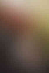 Woodland wedding portraits at Comrie Croft photographed by a Scotland wedding photographer.