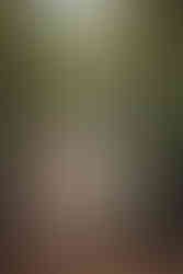 scotland wedding photographer, edinburgh wedding photographer, elopement in scotland, the hermitage of dunkeld, iterracial couple, boho wedding ideas, elopement inspiration, summer forest scotrland, elopement photography scotland