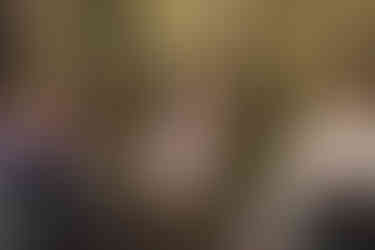 Rustic woodland wedding venue at Comrie Croft captured by a Scotland wedding photographer.