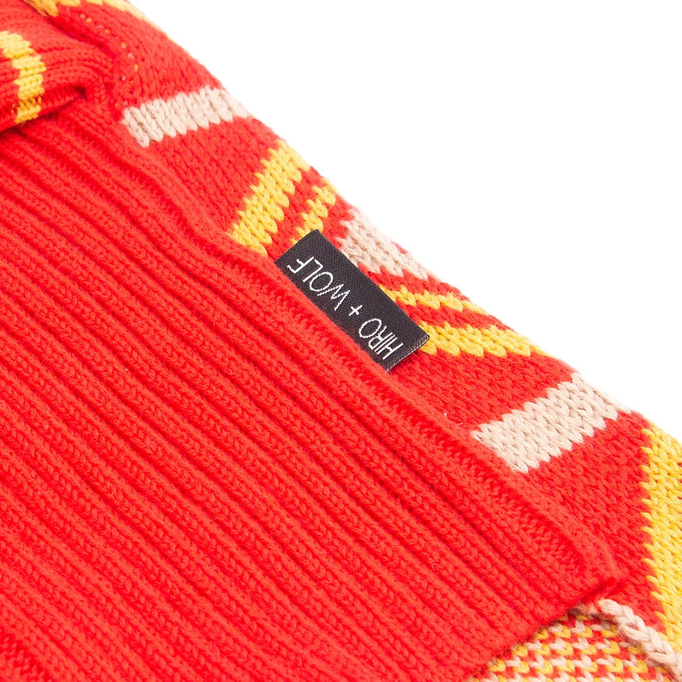 Thumbnail: 'New Horizons' Dog Sweater