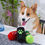 Thumbnail: Bark Soda Pup Cola