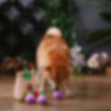 HugSmart Pet Market Bag 4.jpeg