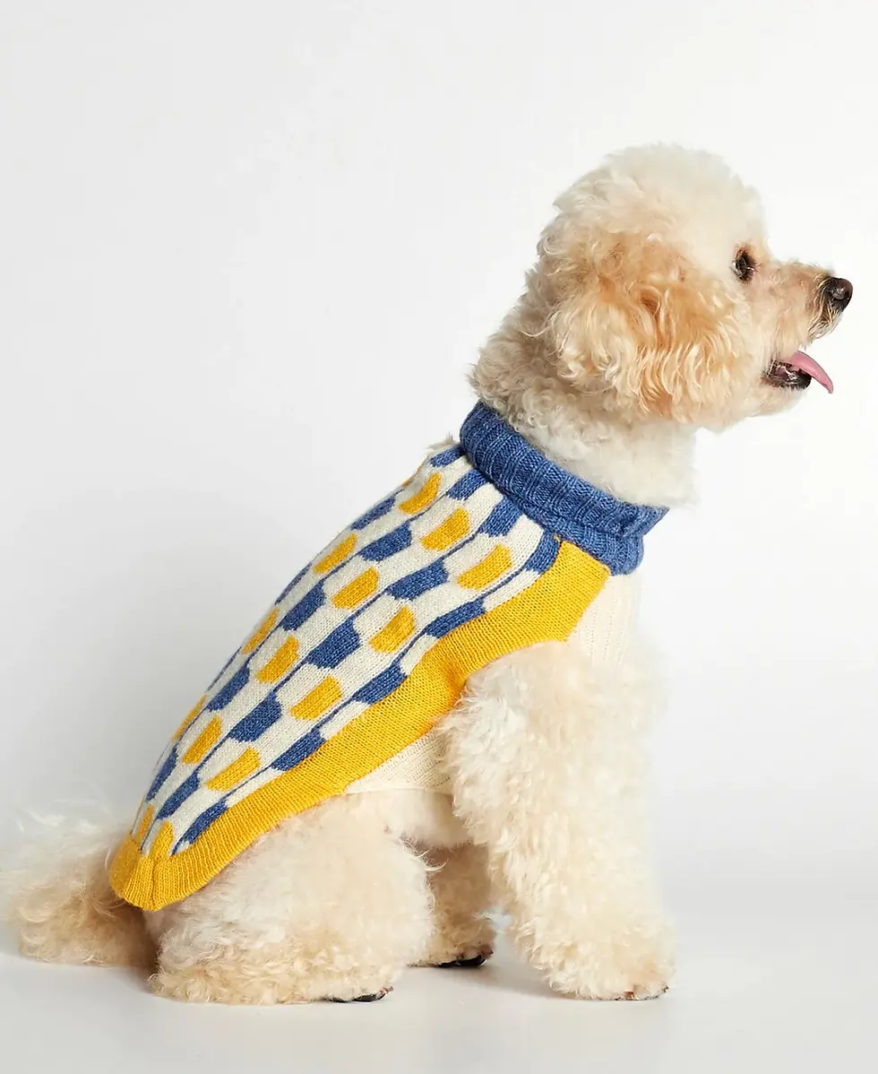 Miniaturbild: Donald Sweater Hundepullover aus Merinowolle Gelb & Blau | Die Frau des Malers