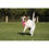Miniaturbild: LABONI Franzi Flamingo