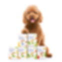 LOONAWELL_Dooggy_Products_1.jpg