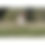 Thumbnail: LABONI Hertha Heart